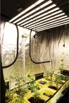 Lámpara hidropónica de espectro completo para cultivo de plantas de interior, barra impermeable, Bombilla de crecimiento 2019, luz LED de inducción cuántica